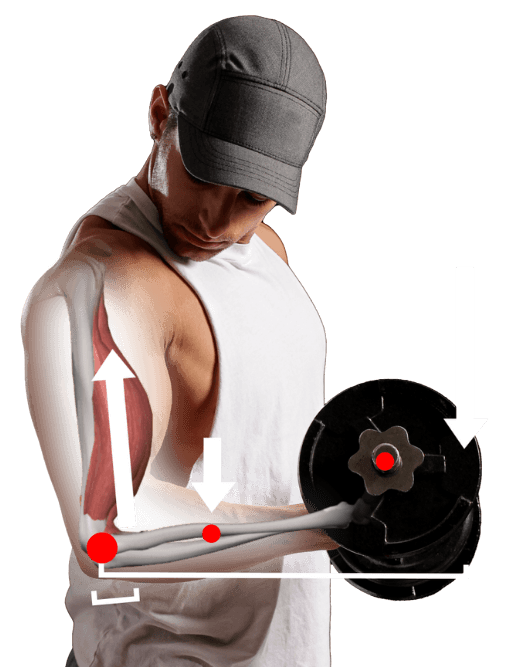 biomechanics torque