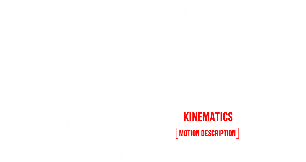 biomechanics