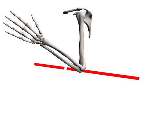 range of motion