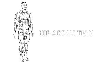 hip abduction adduction
