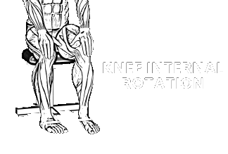knee external internal rotation