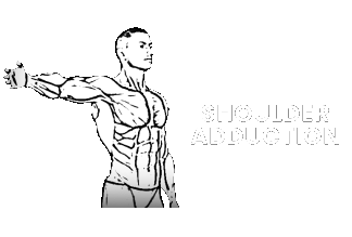 shoulder abduction adduction
