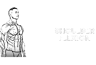 shoulder flexion extension