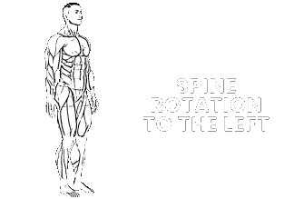 spine rotation