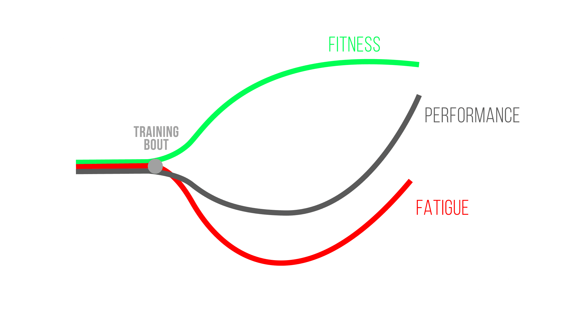 fitness and fatigue model graph
