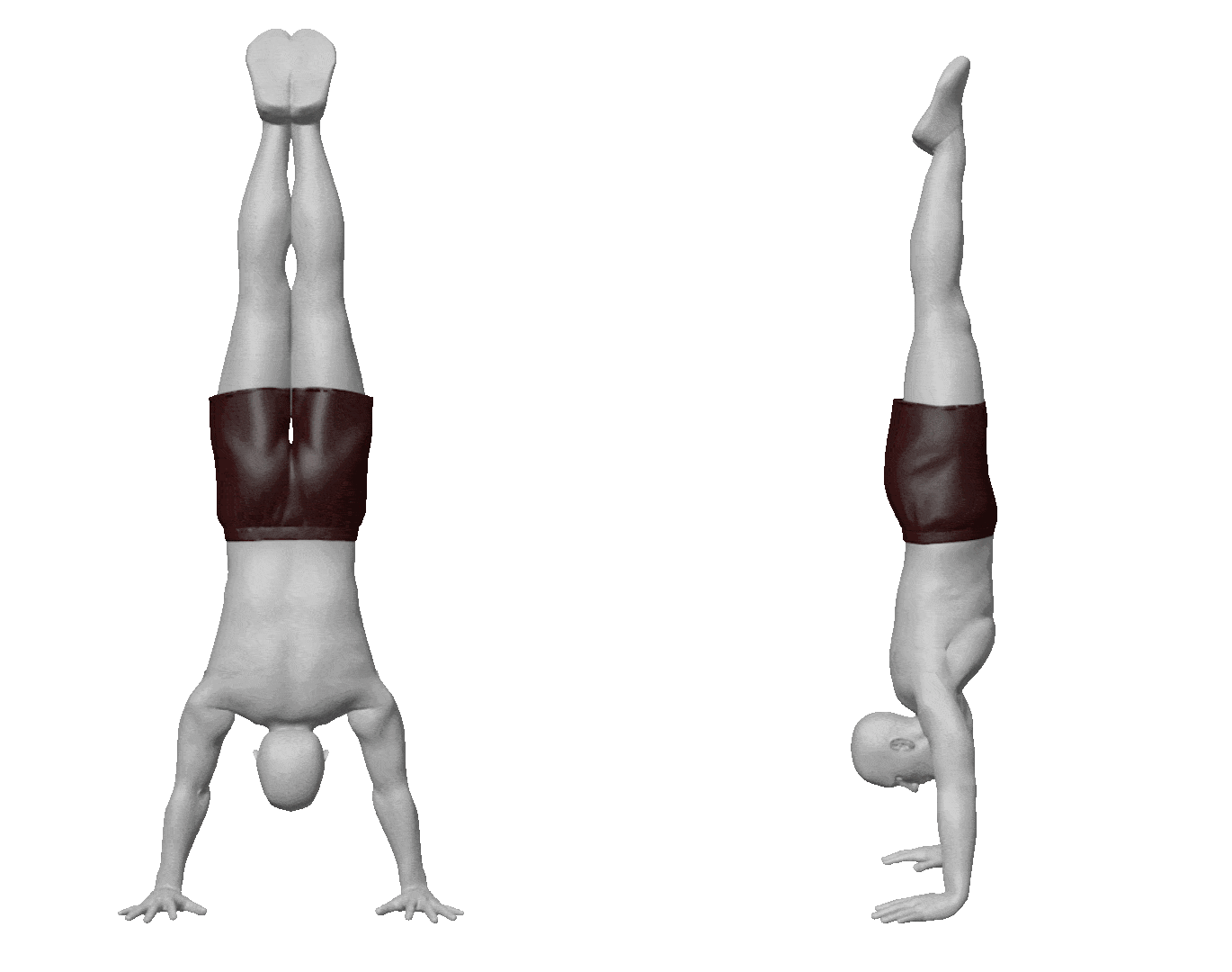 handstand push up force vector and range of motion illustration
