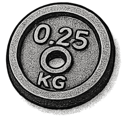 a very light weight disk