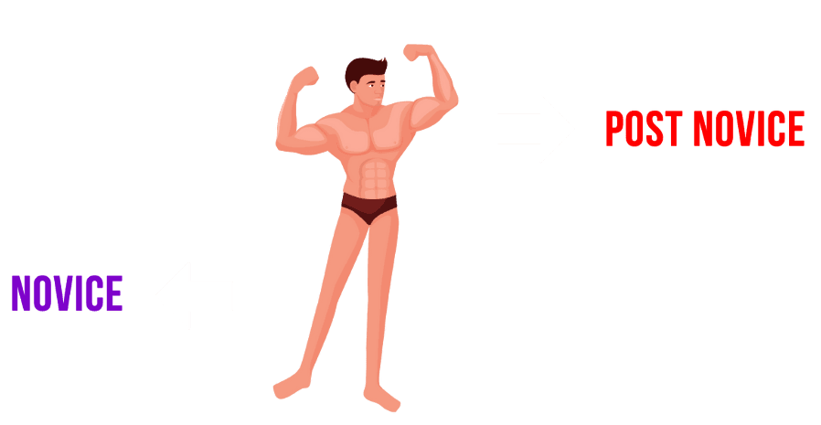 calisthenics stages