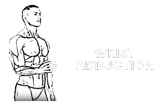 wrist adduction abduction