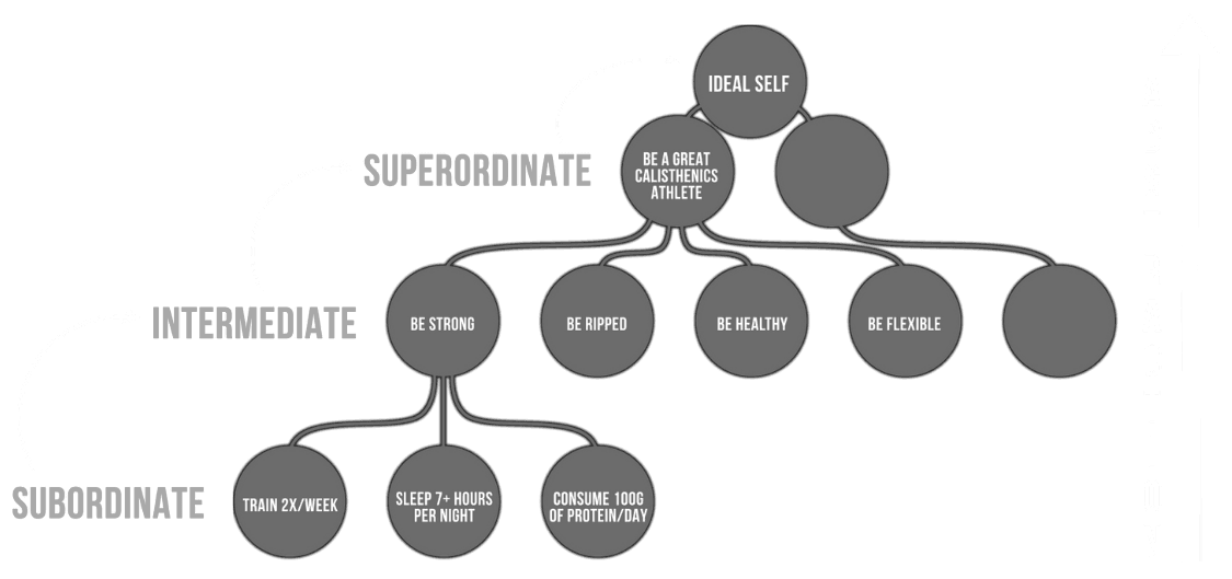 calisthenics goals levels