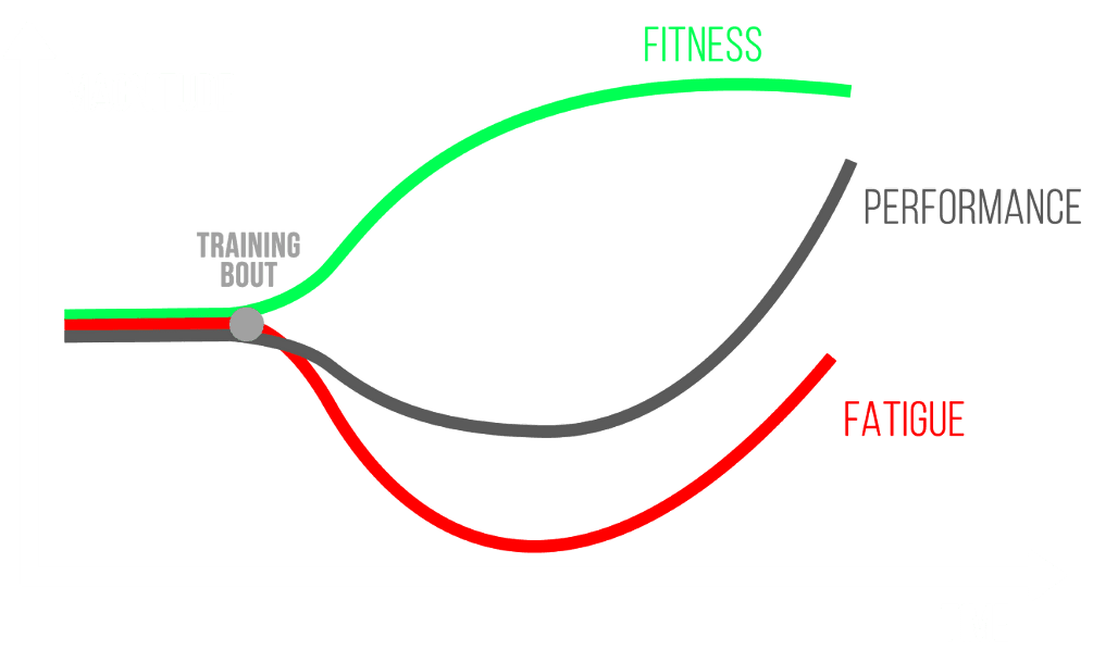 fitness fatigue model chart