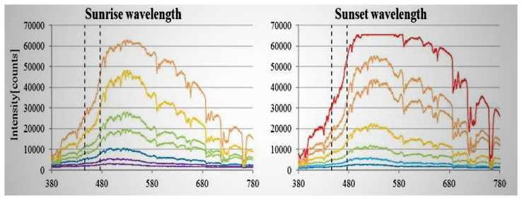natural light wave length blue vs red light