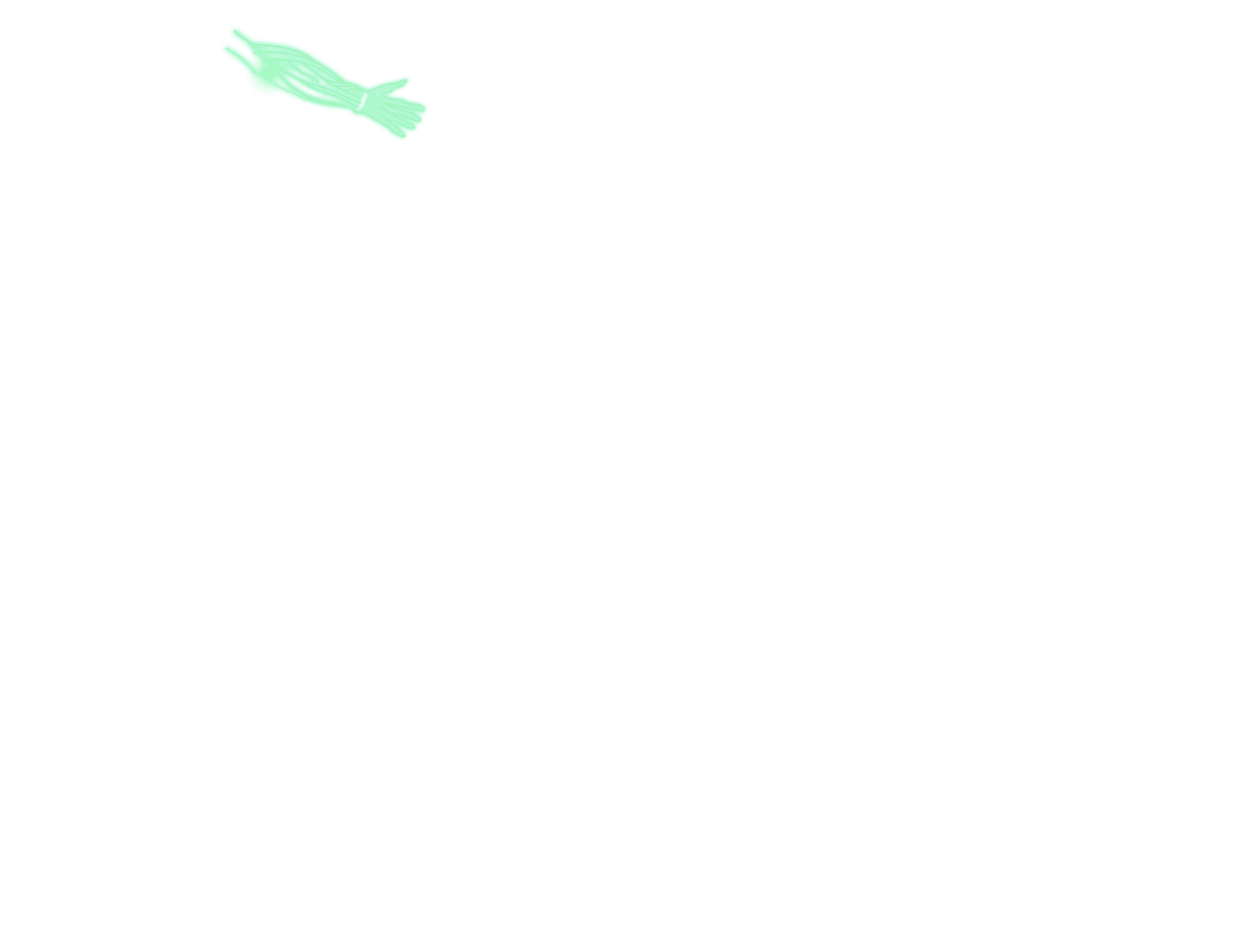 arm