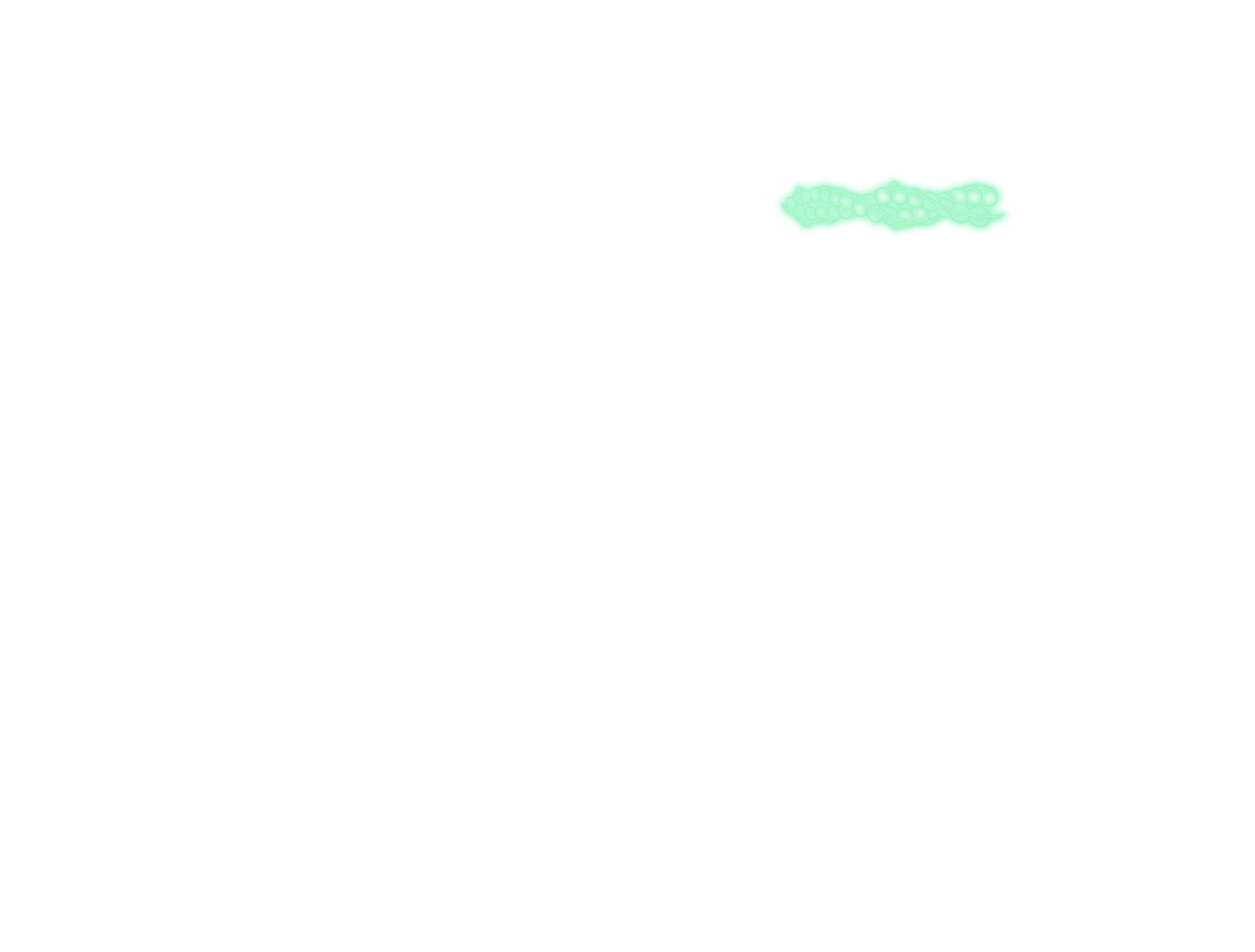 dna